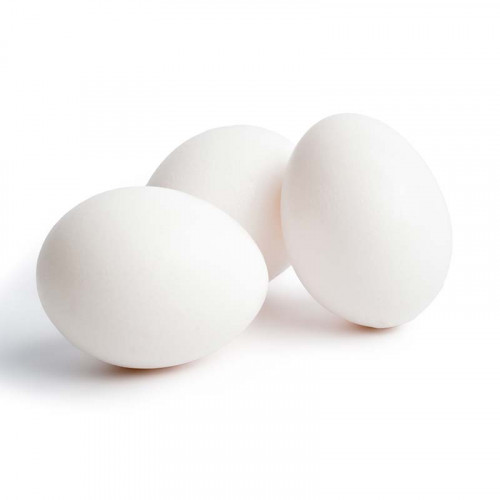 Egg  (6 Pieces)