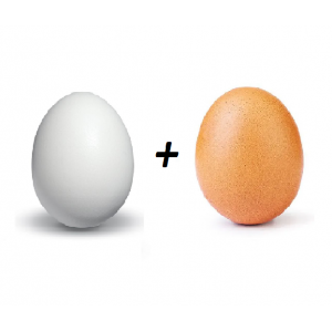 Egg Combo (Normal+Country)