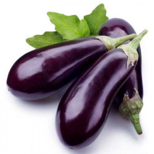 Eggplant Brinjal Big