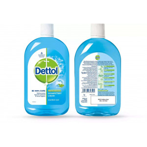 Dettol Liquid Disinfectant Germ Protection Menthol Cool