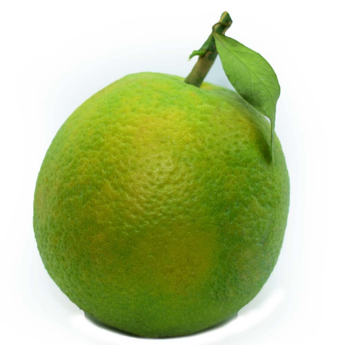 Mosambi - Sweet Lime