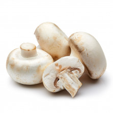 Mushroom-Button