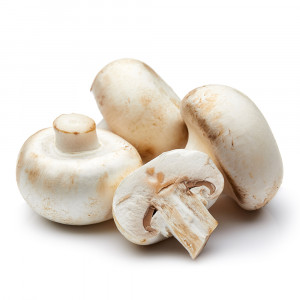 Mushroom Button