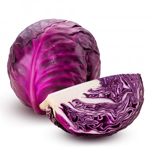 Cabbage  Red