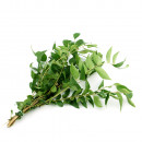 Curry Leaves-100g