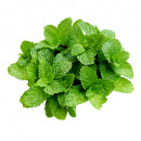 Mint Leaves-1bunch