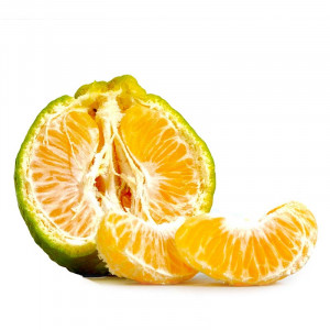 Orange - Nagpur