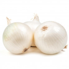 Onion Big  - White